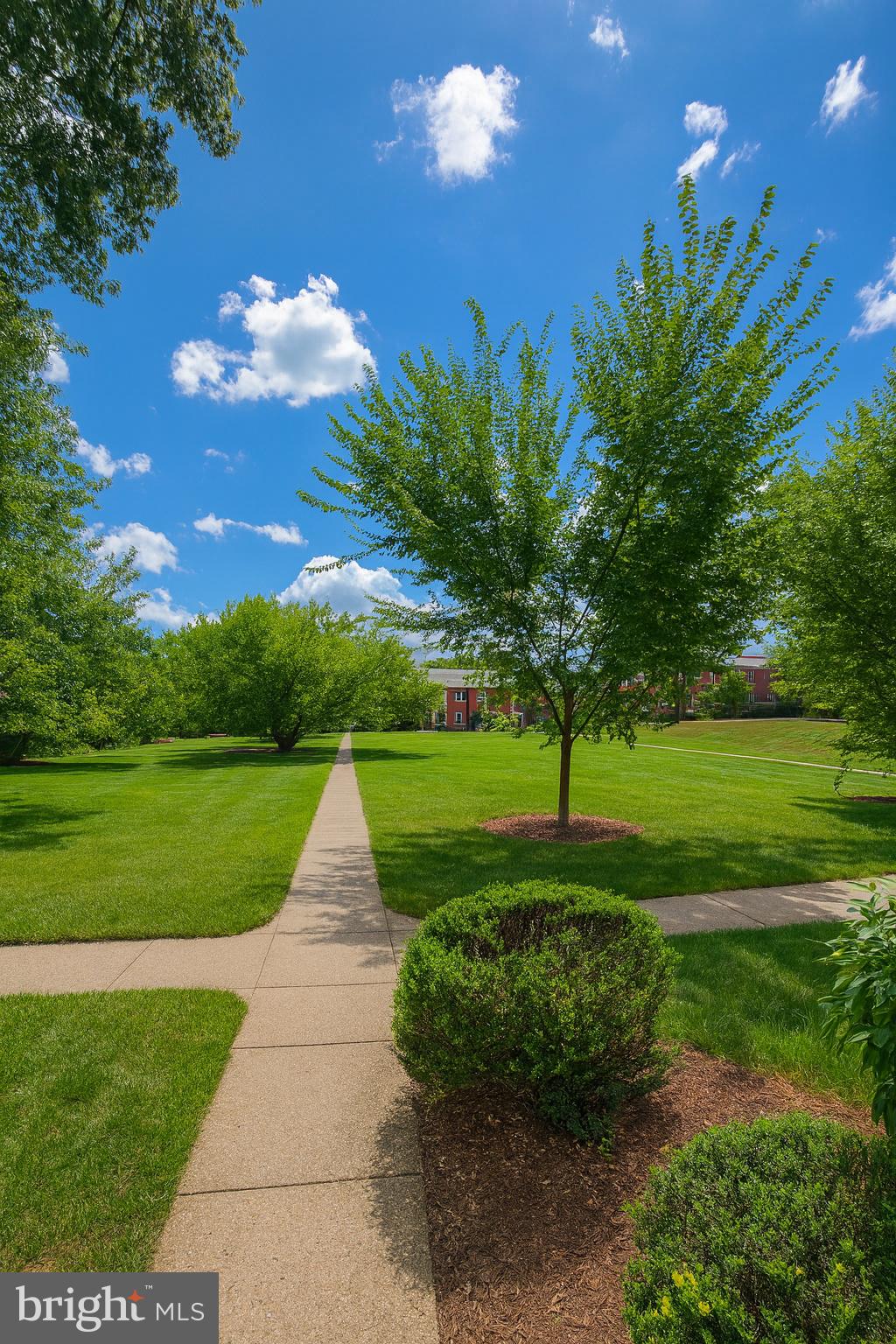 3311 COMMONWEALTH AVENUE A