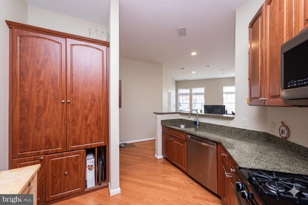 309 HOLLAND LANE 226