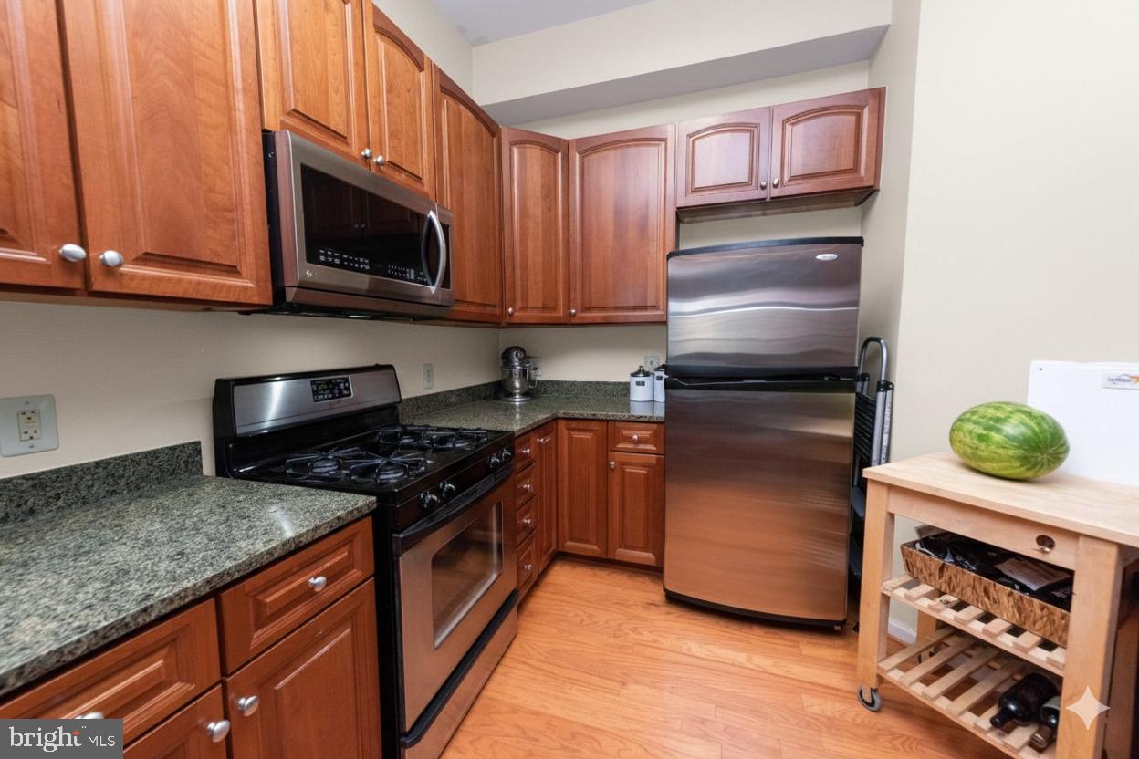 309 HOLLAND LANE 226