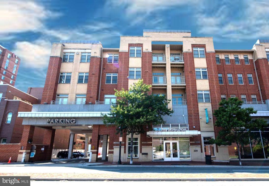 309 HOLLAND LANE 226