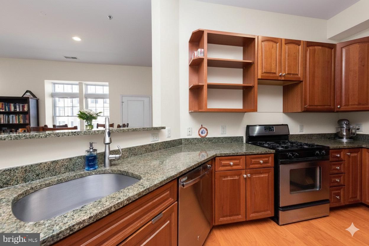 309 HOLLAND LANE 226