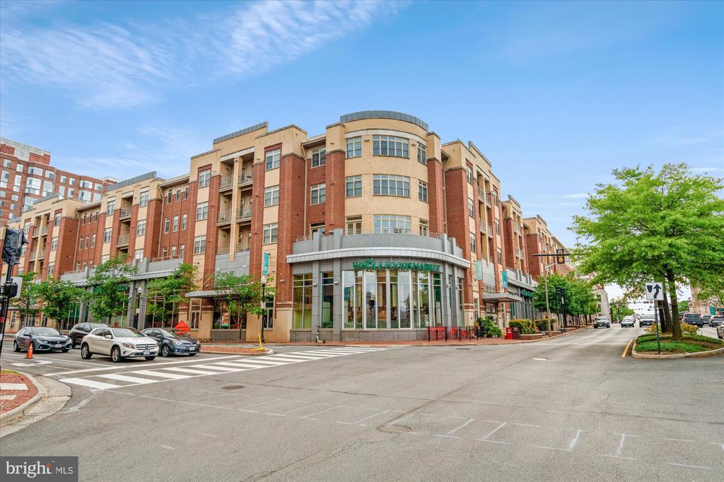 309 HOLLAND LANE 320