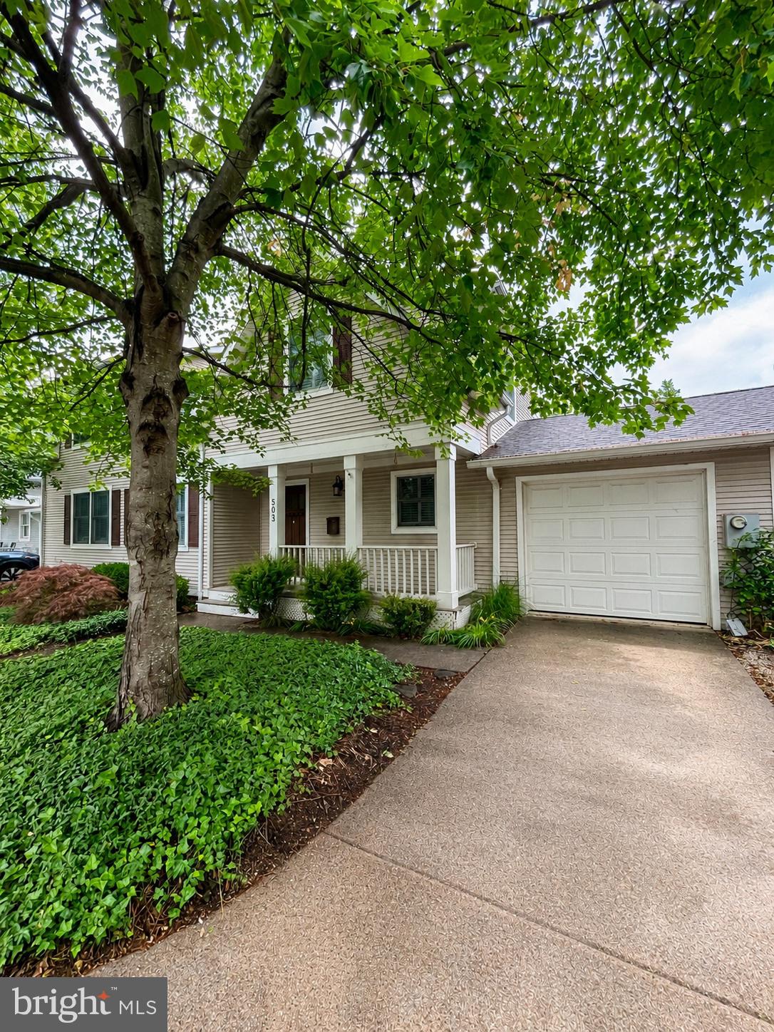 503 MOUNT VERNON AVENUE