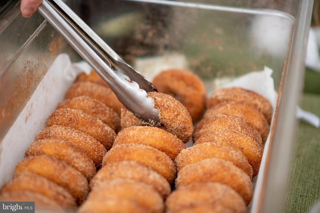 17 HERBERT STREET