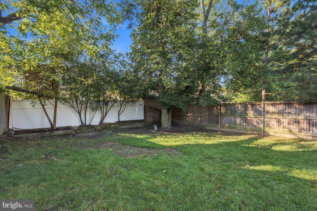 117 CLIFFORD AVENUE