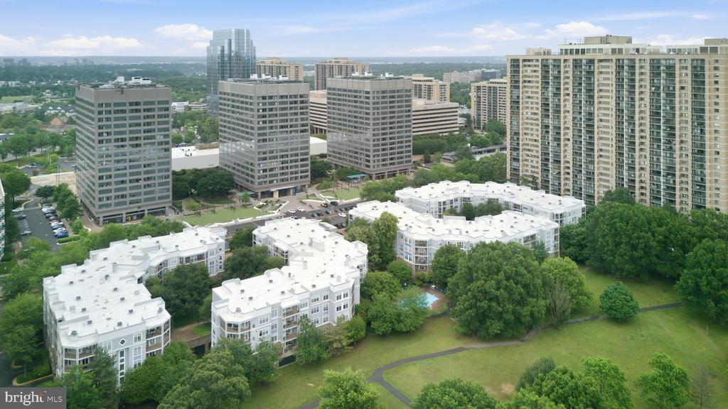 5565 SEMINARY ROAD Unit: 313