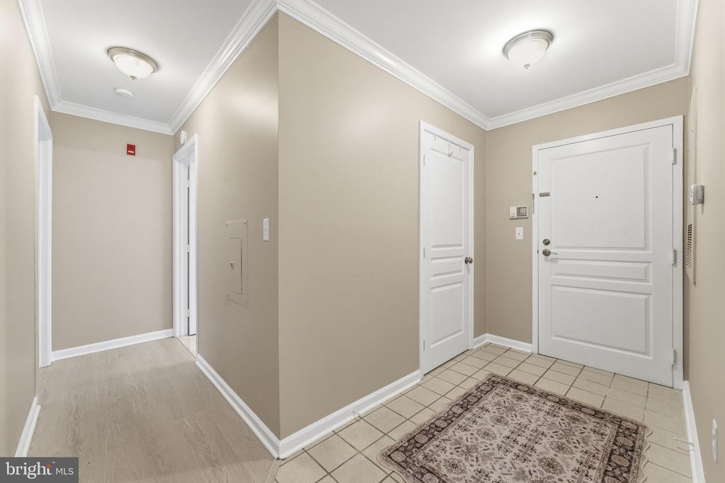 5565 SEMINARY ROAD Unit: 313