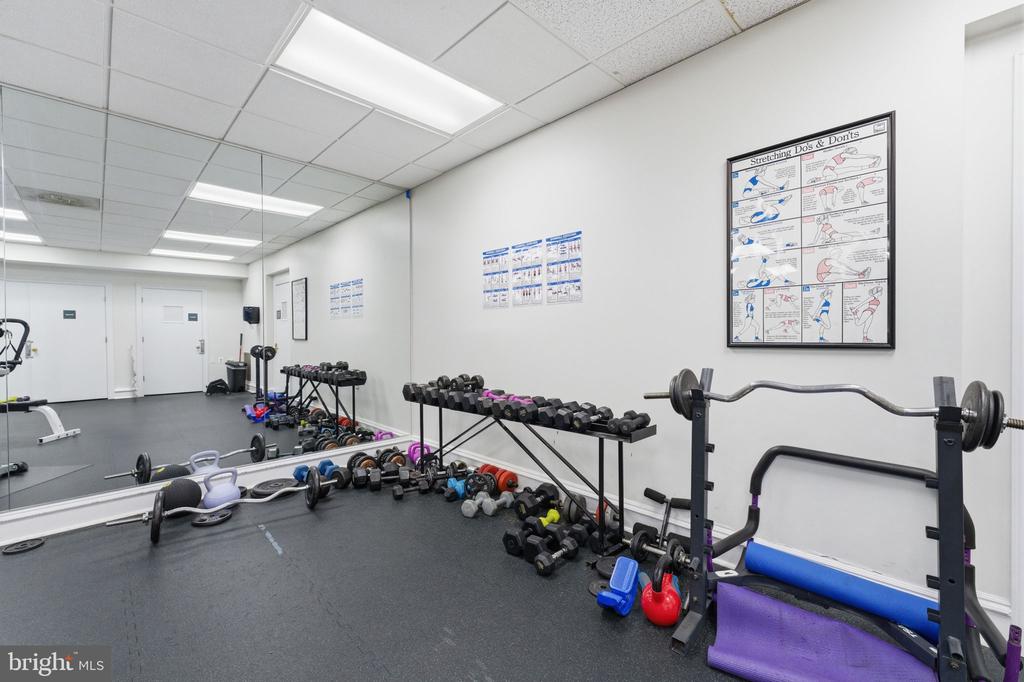 5565 SEMINARY ROAD Unit: 313