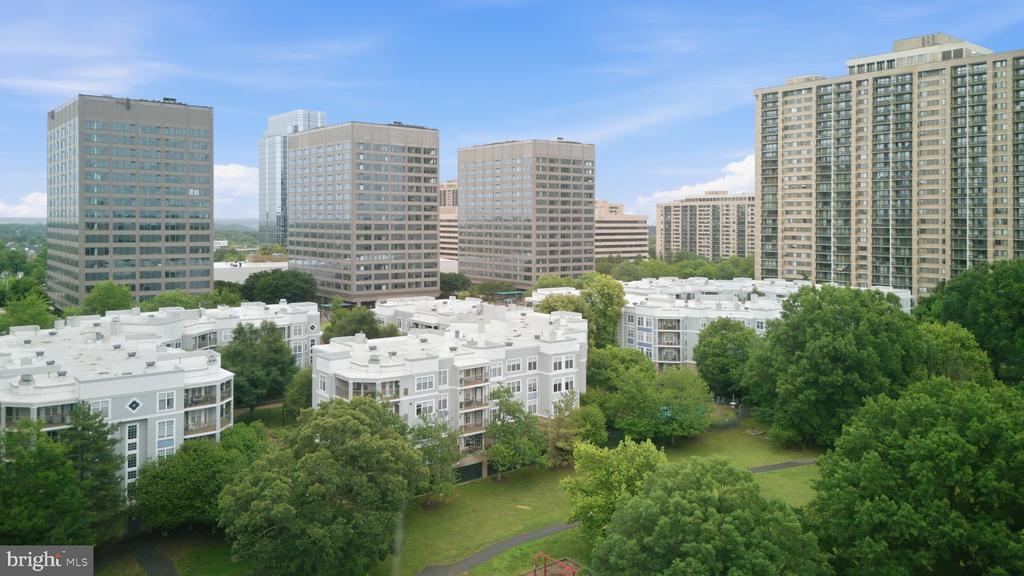 5565 SEMINARY ROAD Unit: 313