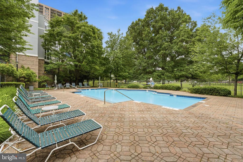 5565 SEMINARY ROAD Unit: 313