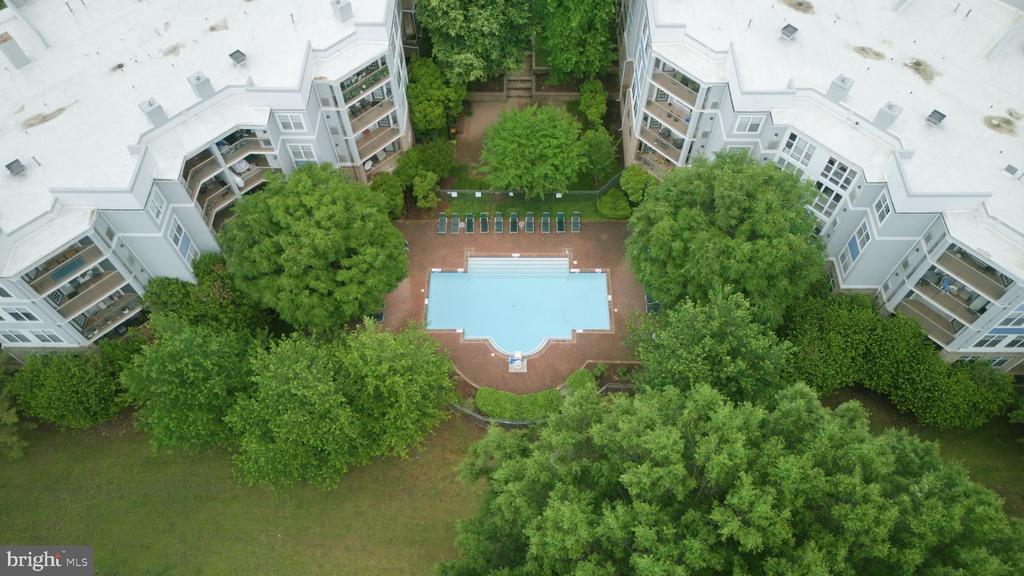 5565 SEMINARY ROAD Unit: 313