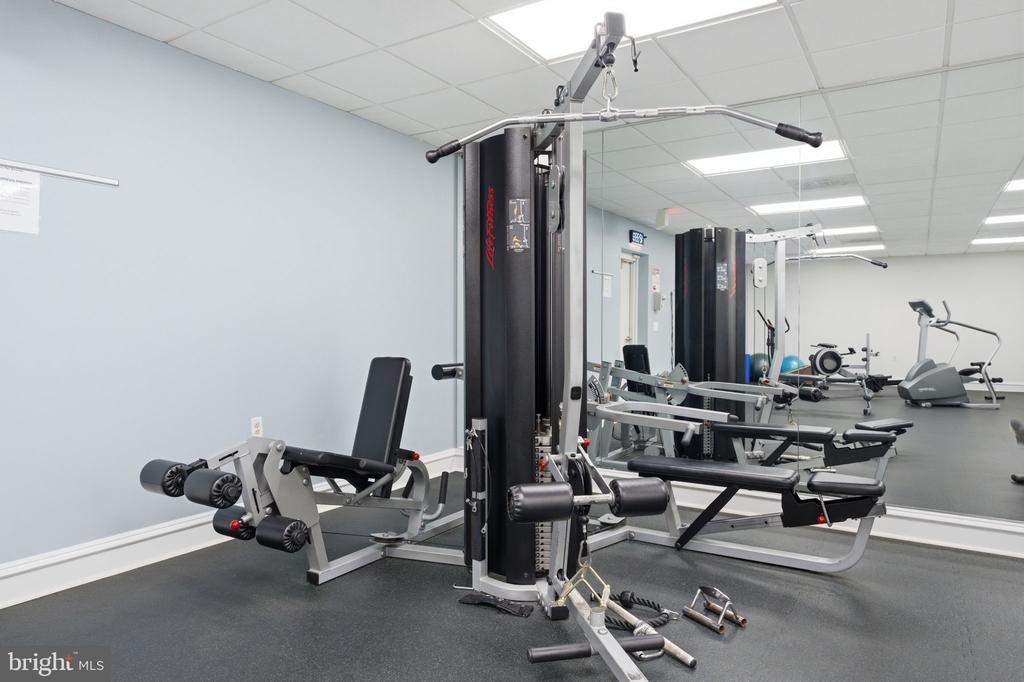 5565 SEMINARY ROAD Unit: 313
