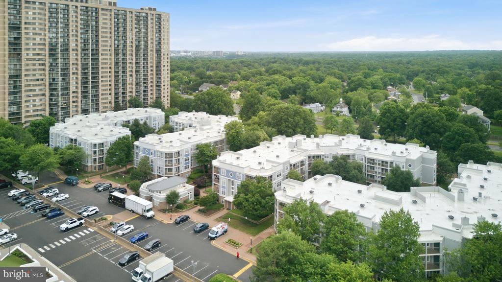5565 SEMINARY ROAD Unit: 313