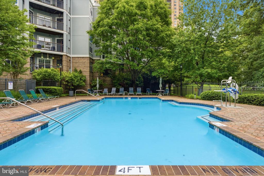 5565 SEMINARY ROAD Unit: 313