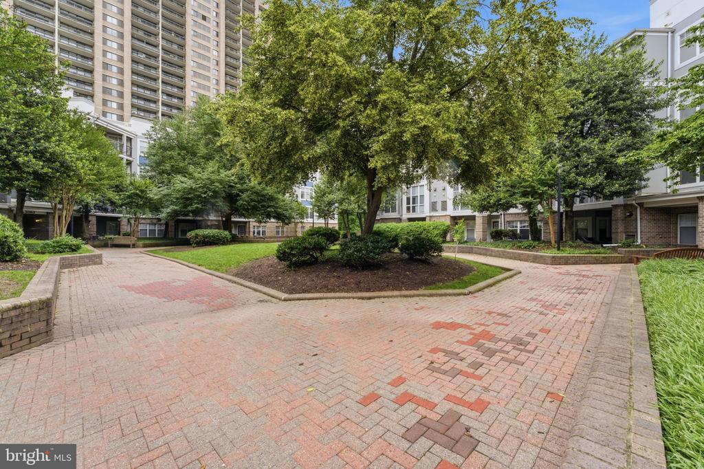 5565 SEMINARY ROAD Unit: 313