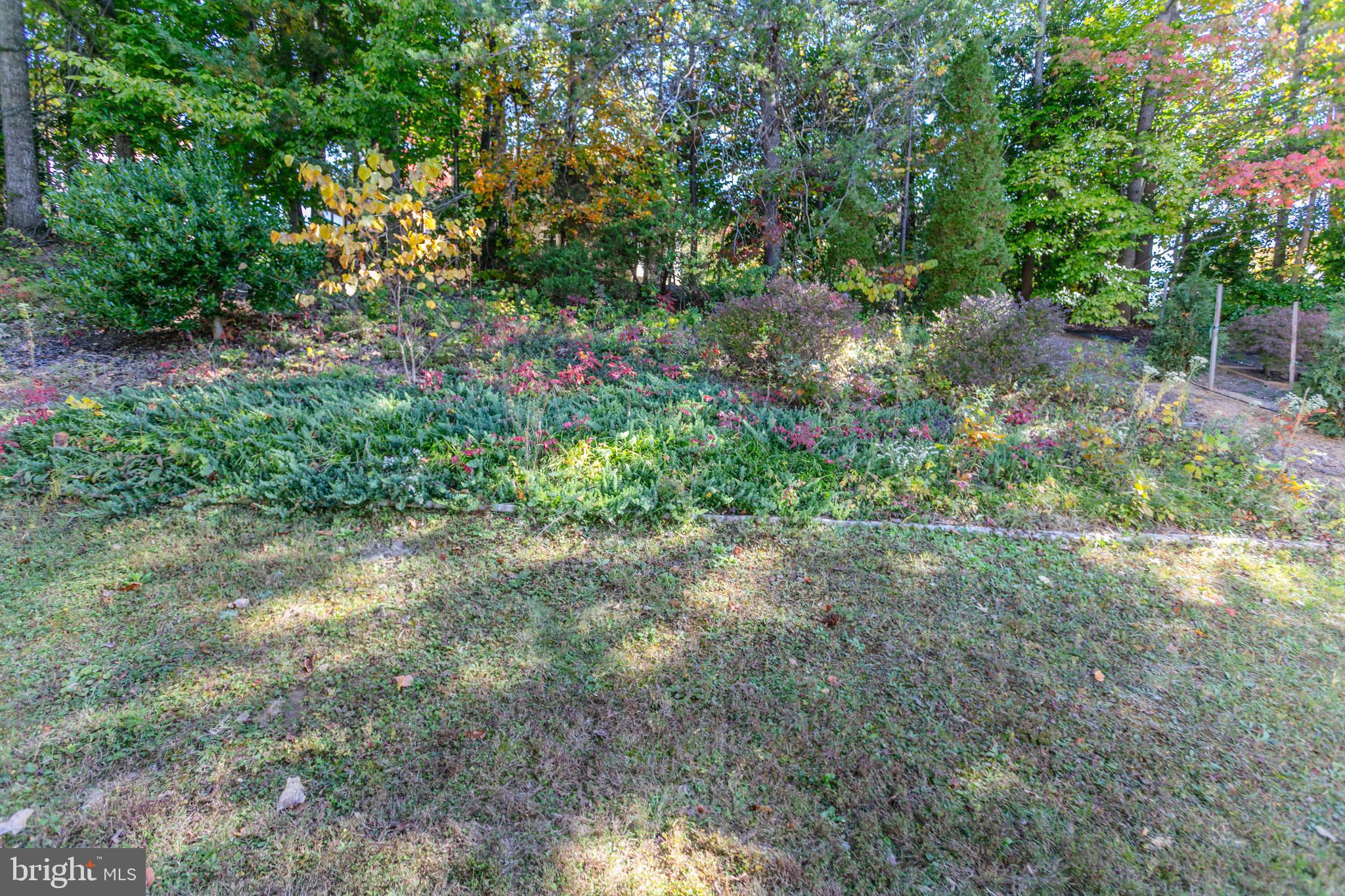 55 Blossom Wood Ct