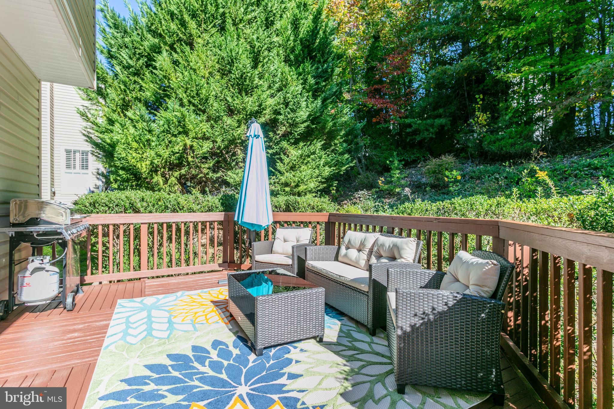 55 Blossom Wood Ct