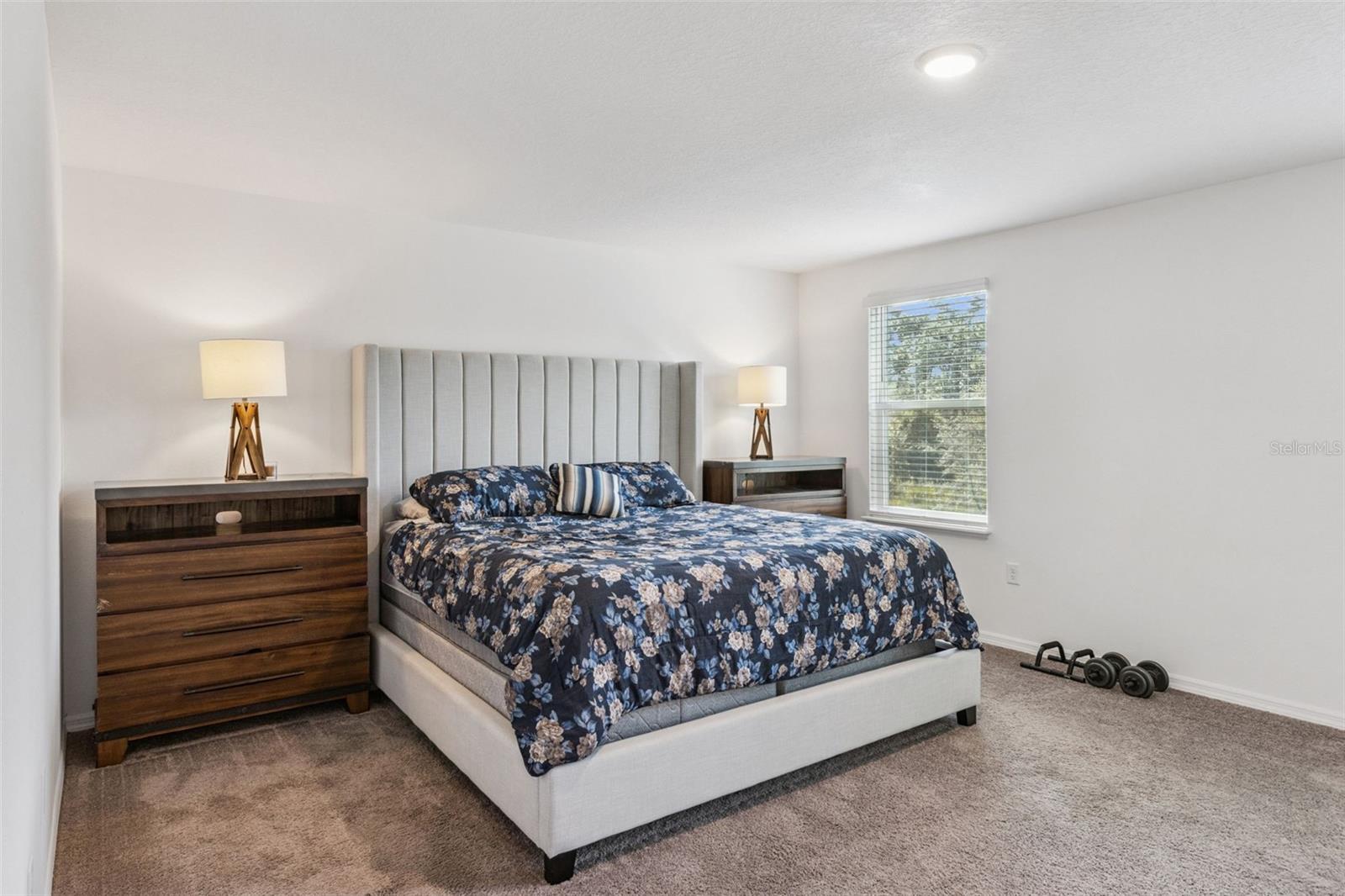 3681 MAGNOLIA DR
