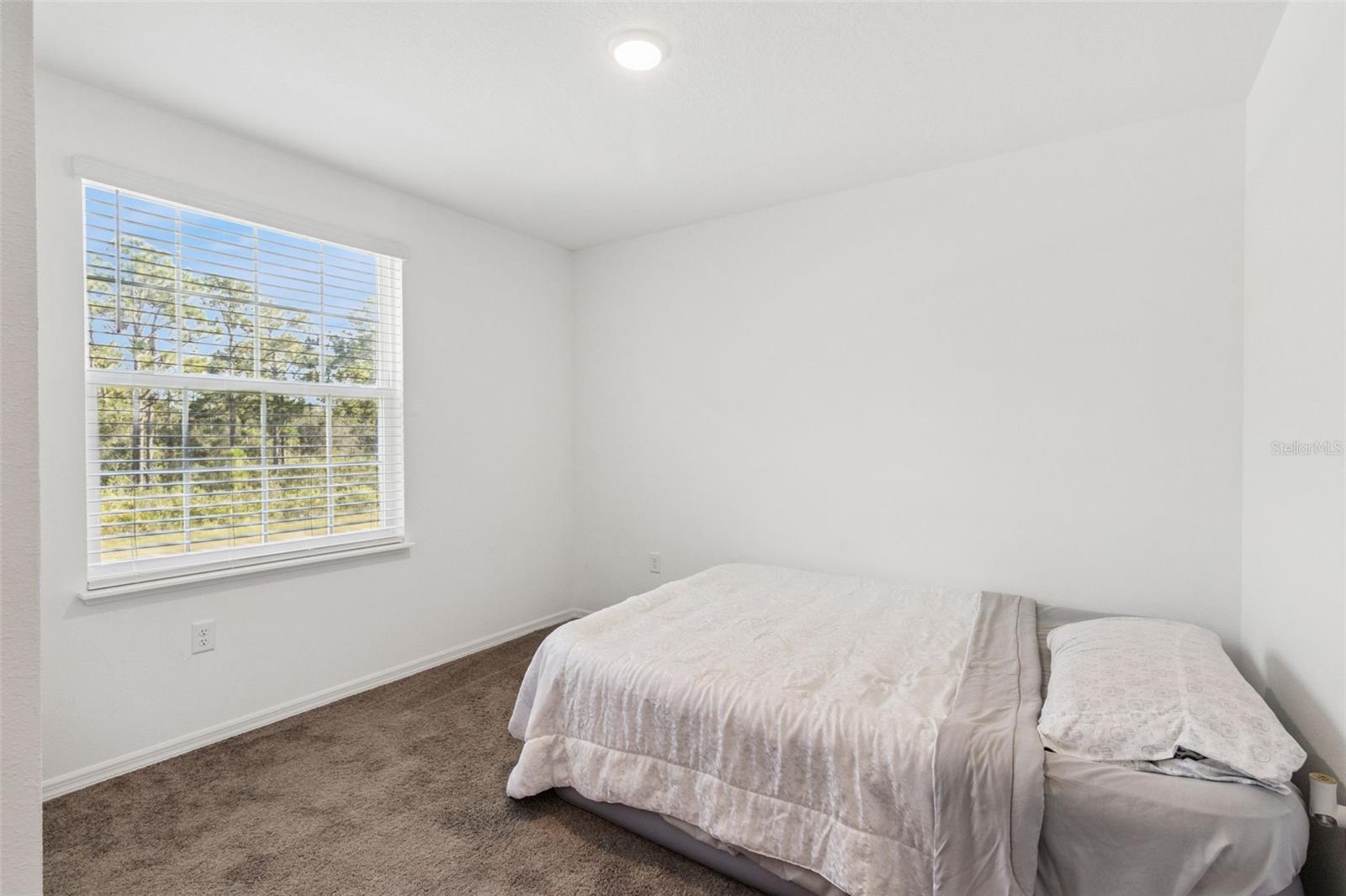3681 MAGNOLIA DR