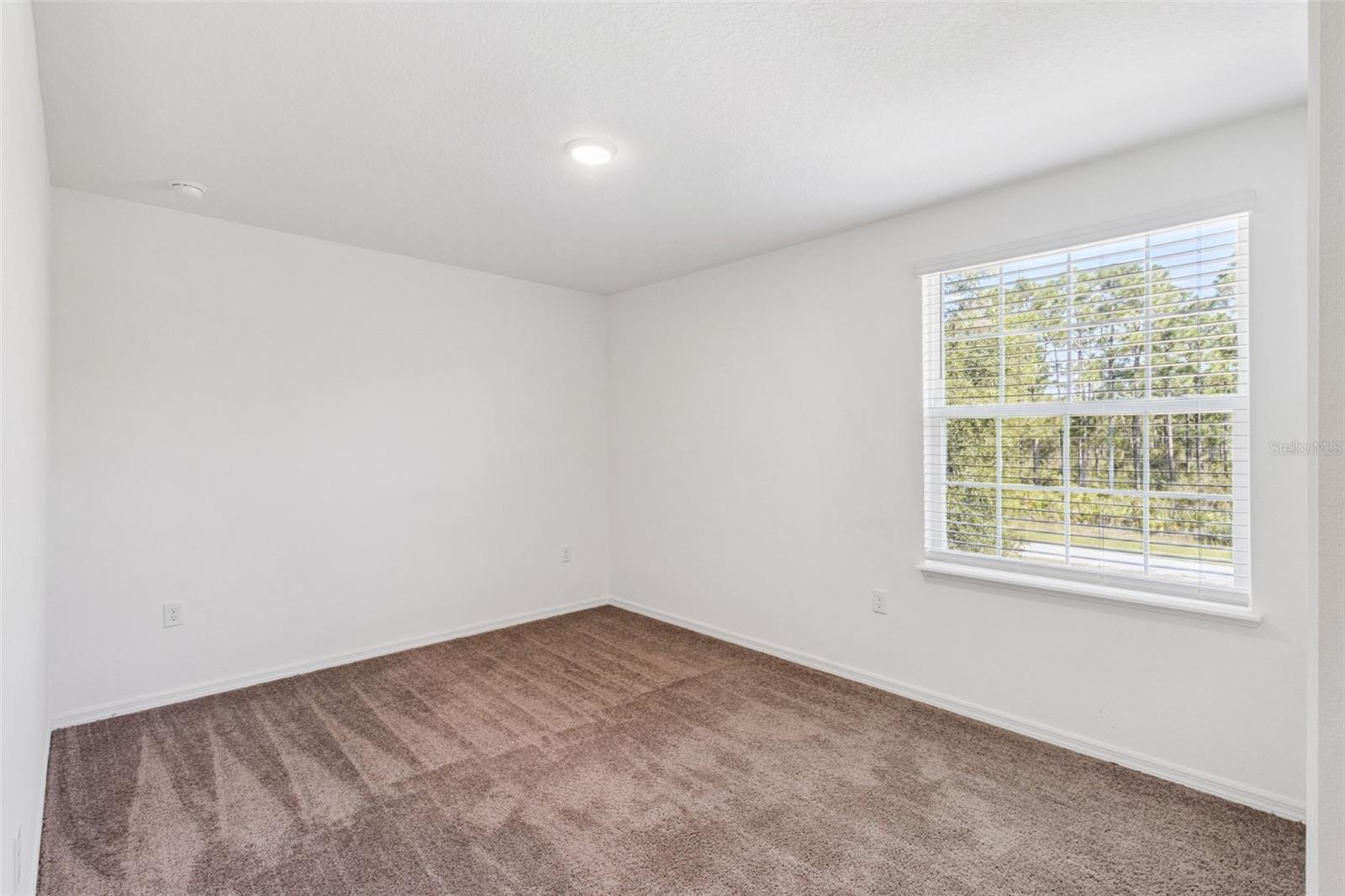 3681 MAGNOLIA DR
