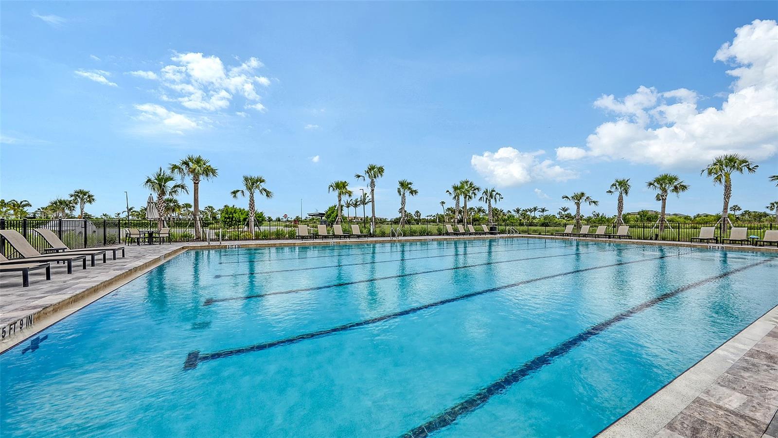 10254 MORNING MIST LN