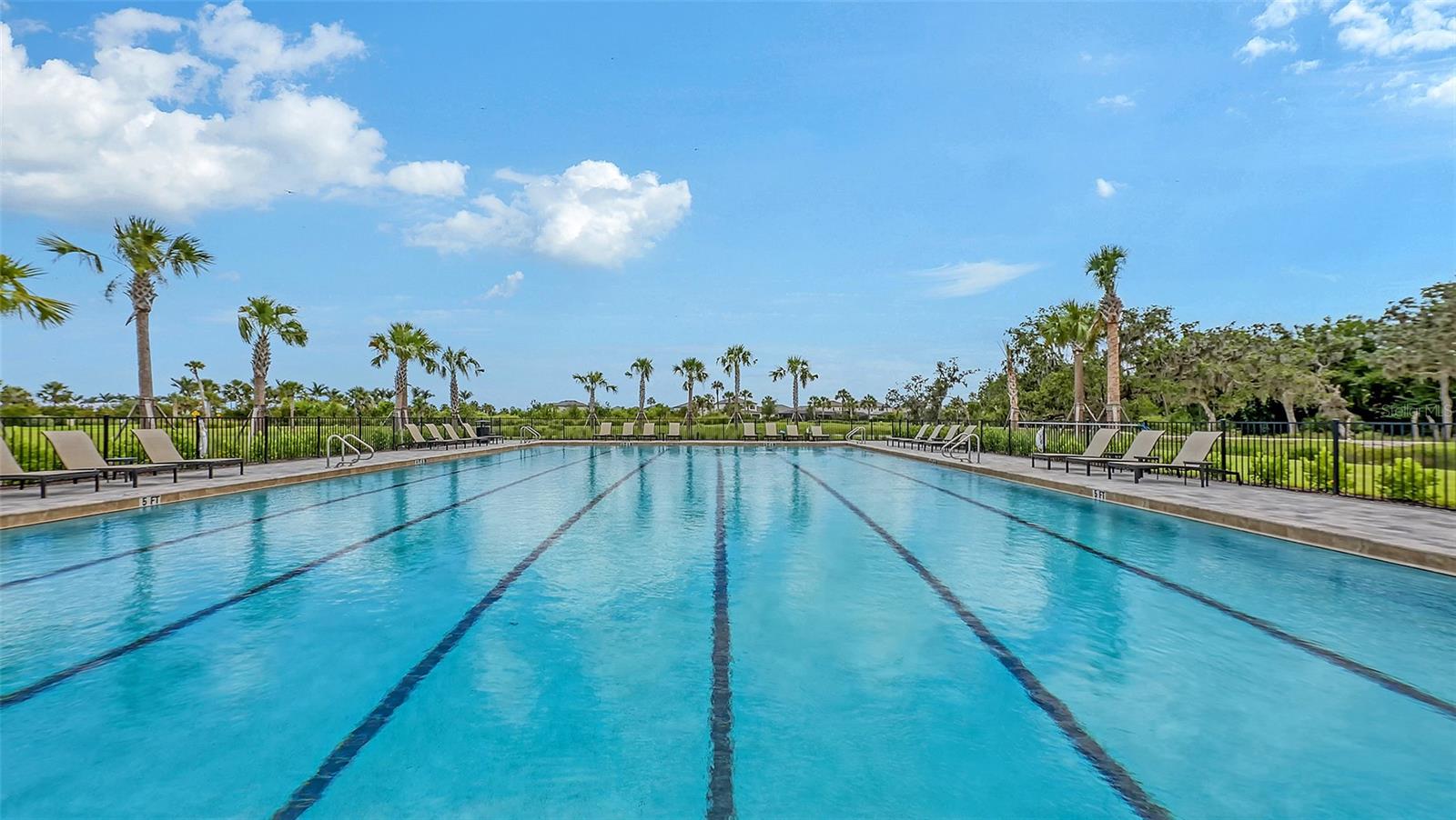 10254 MORNING MIST LN