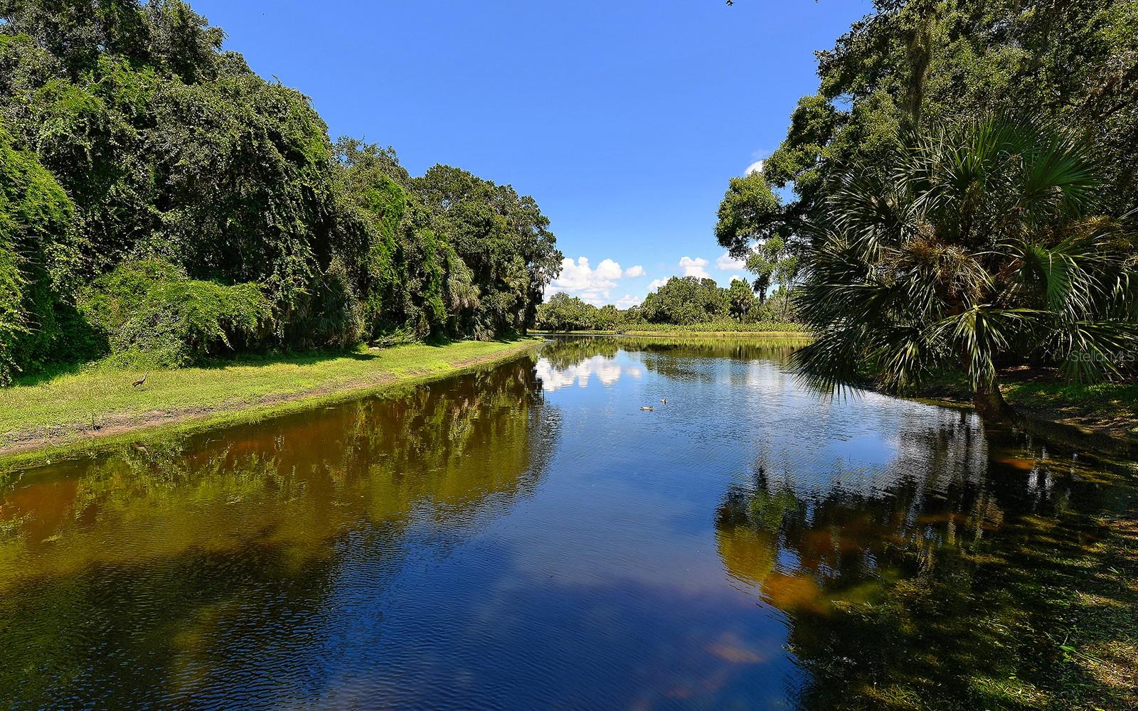 4956 SABAL LAKE CIR