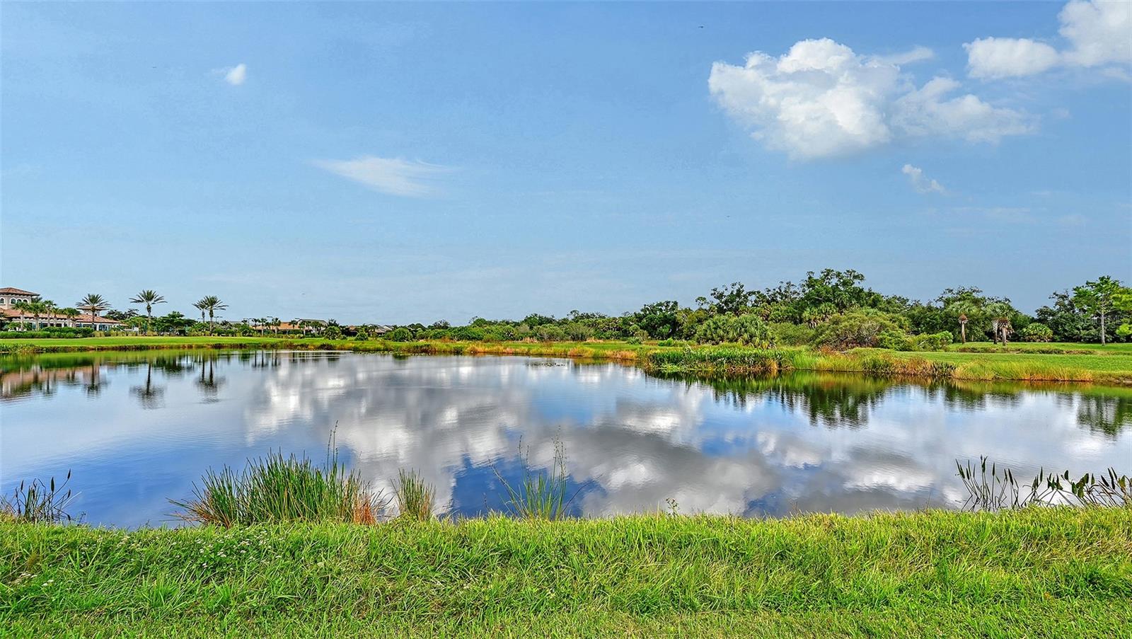 11174 SANDHILL PRESERVE DR