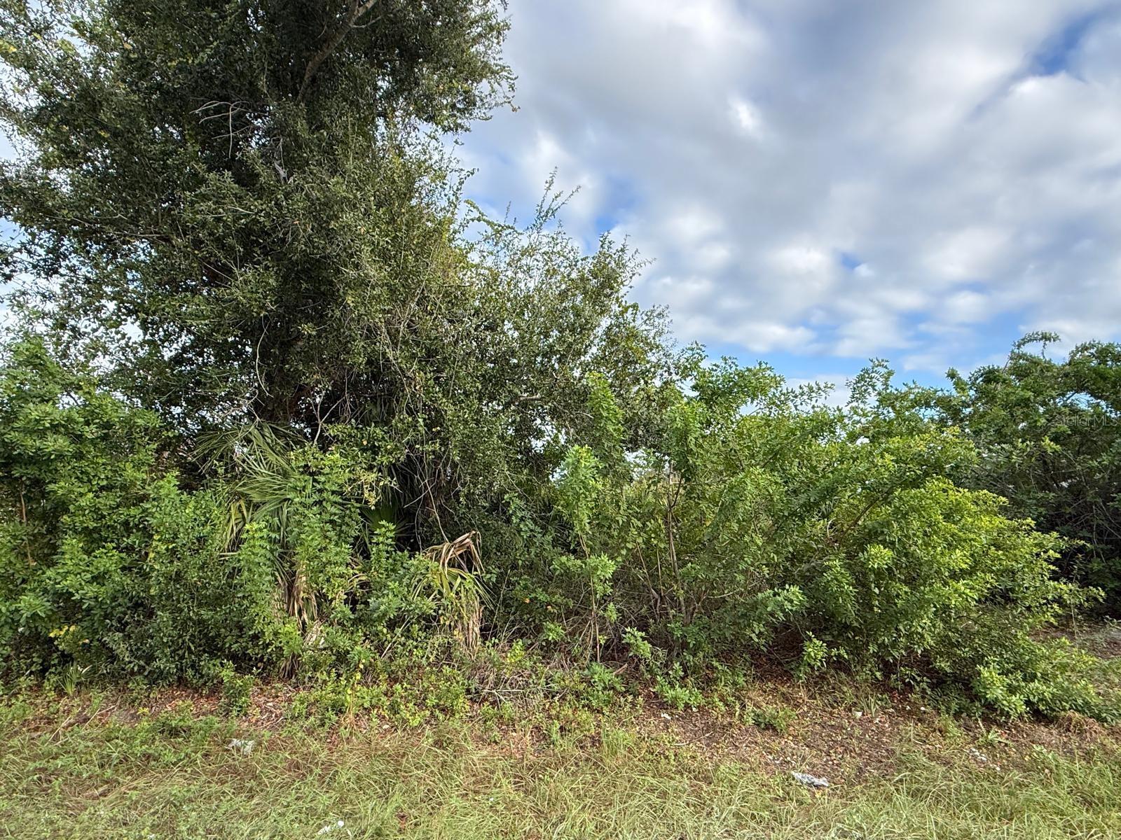 9236 Agate St Port Charlotte Fl Us 33981 Mfra4710963