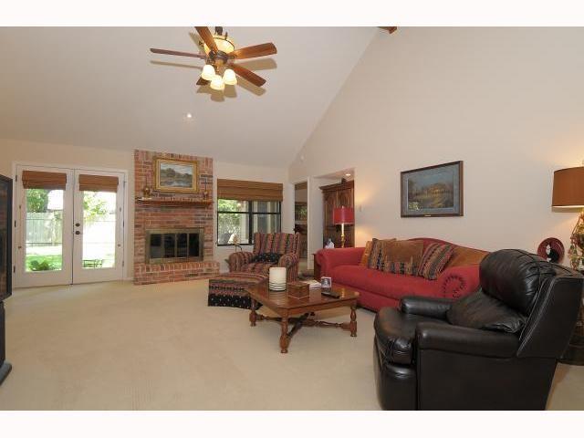11810 Rain Forest CV