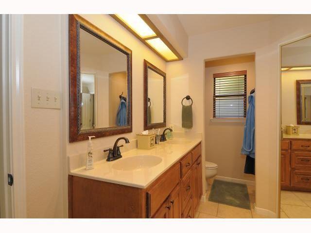 11810 Rain Forest CV