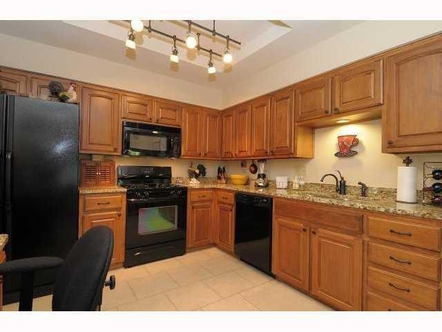 11810 Rain Forest CV