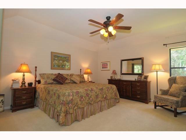 11810 Rain Forest CV
