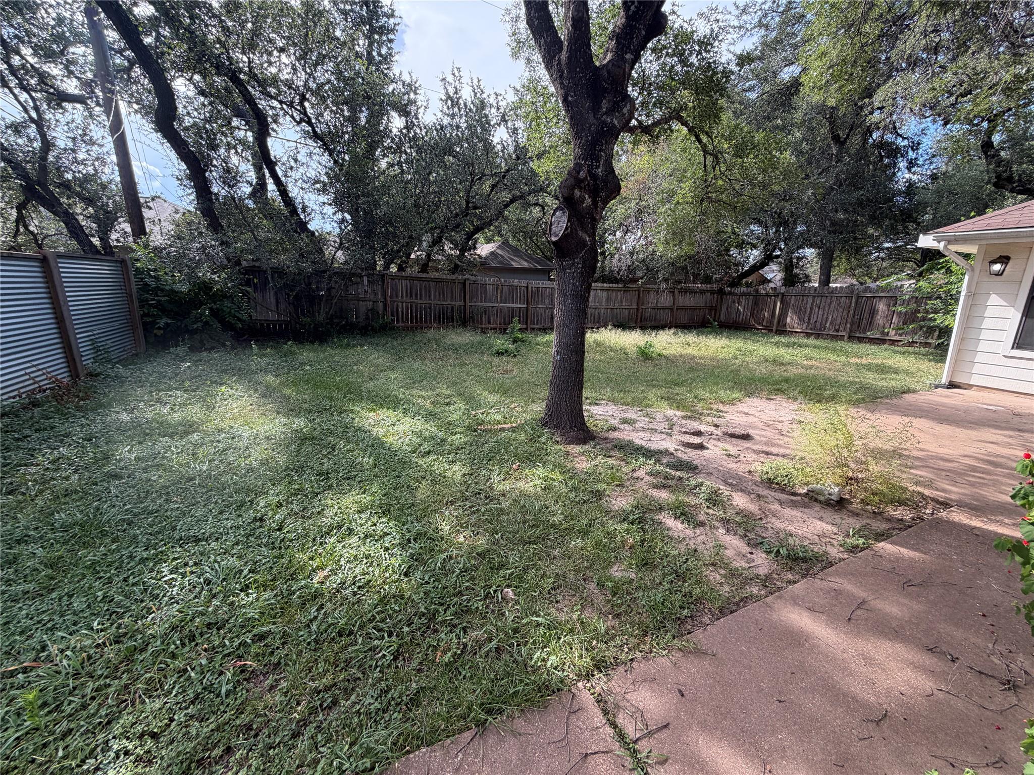 11810 Rain Forest CV