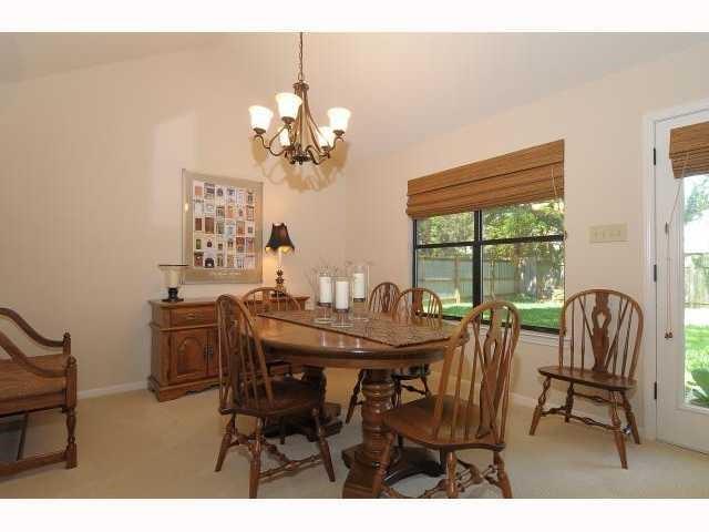 11810 Rain Forest CV