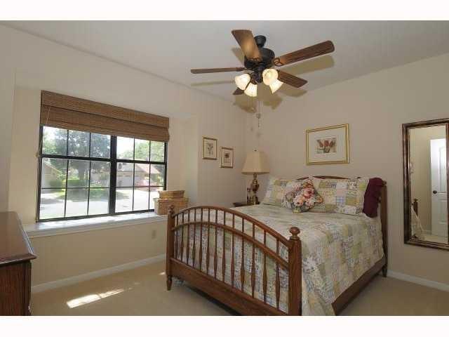 11810 Rain Forest CV