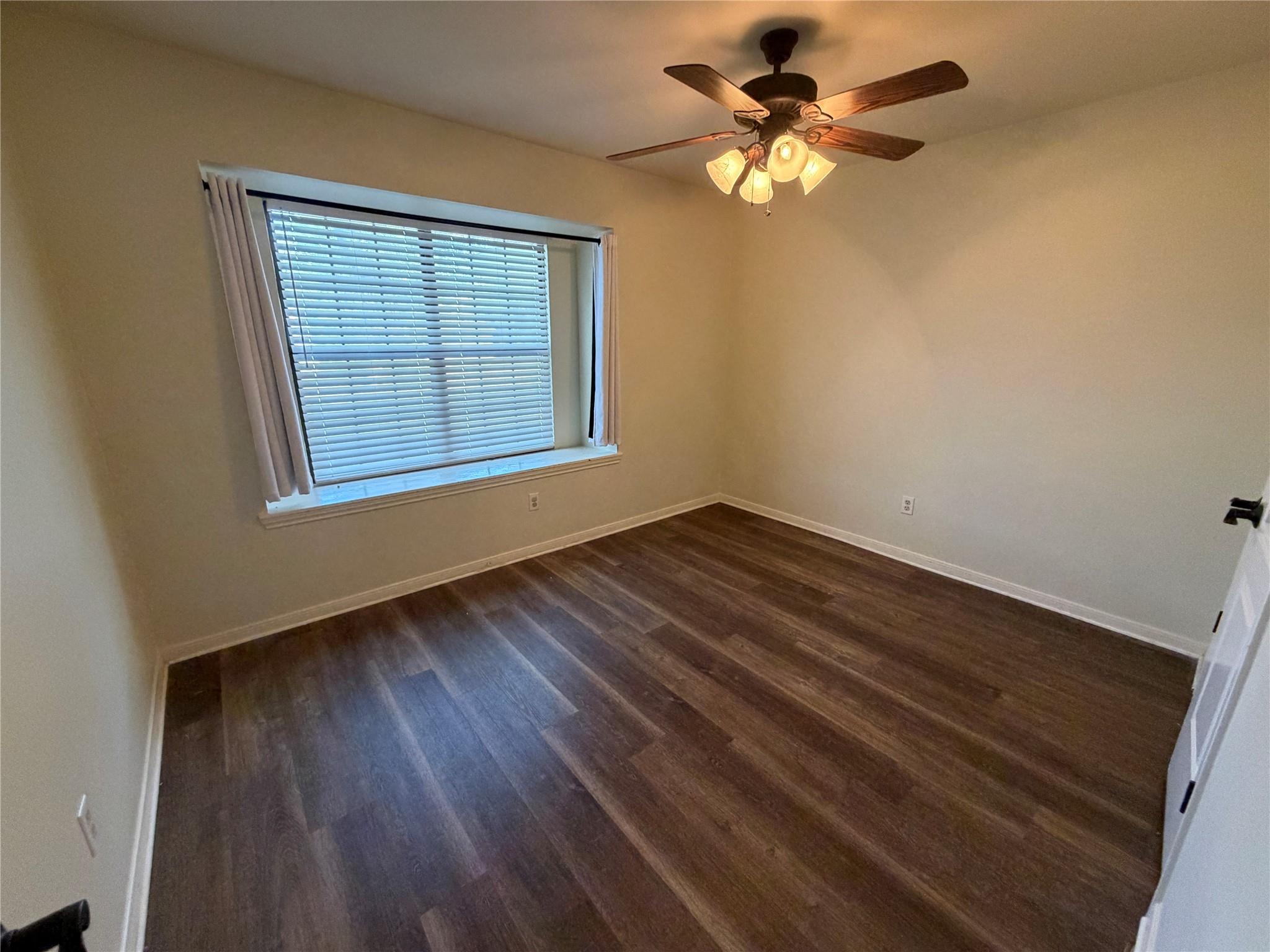 11810 Rain Forest CV