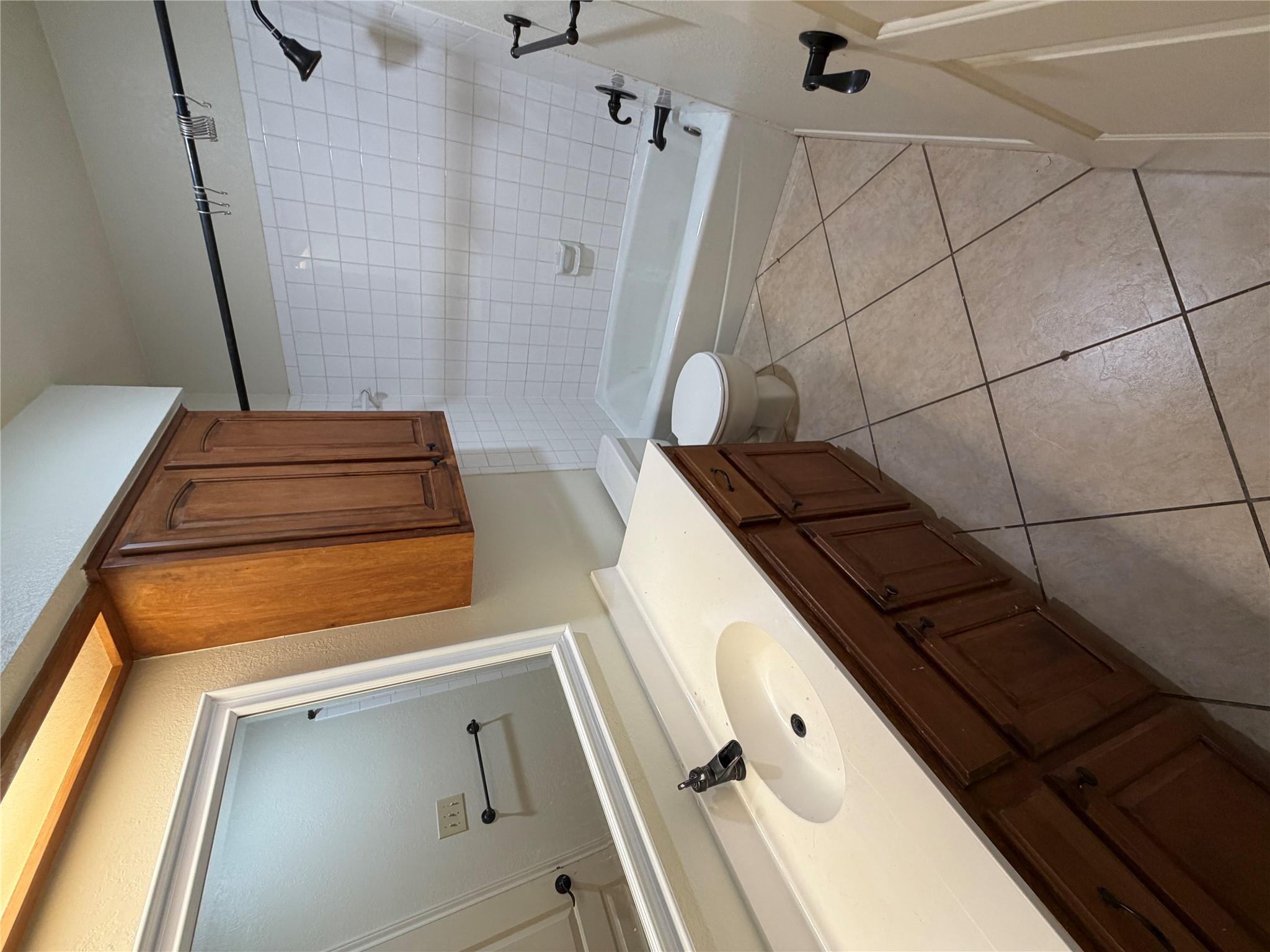 11810 Rain Forest CV