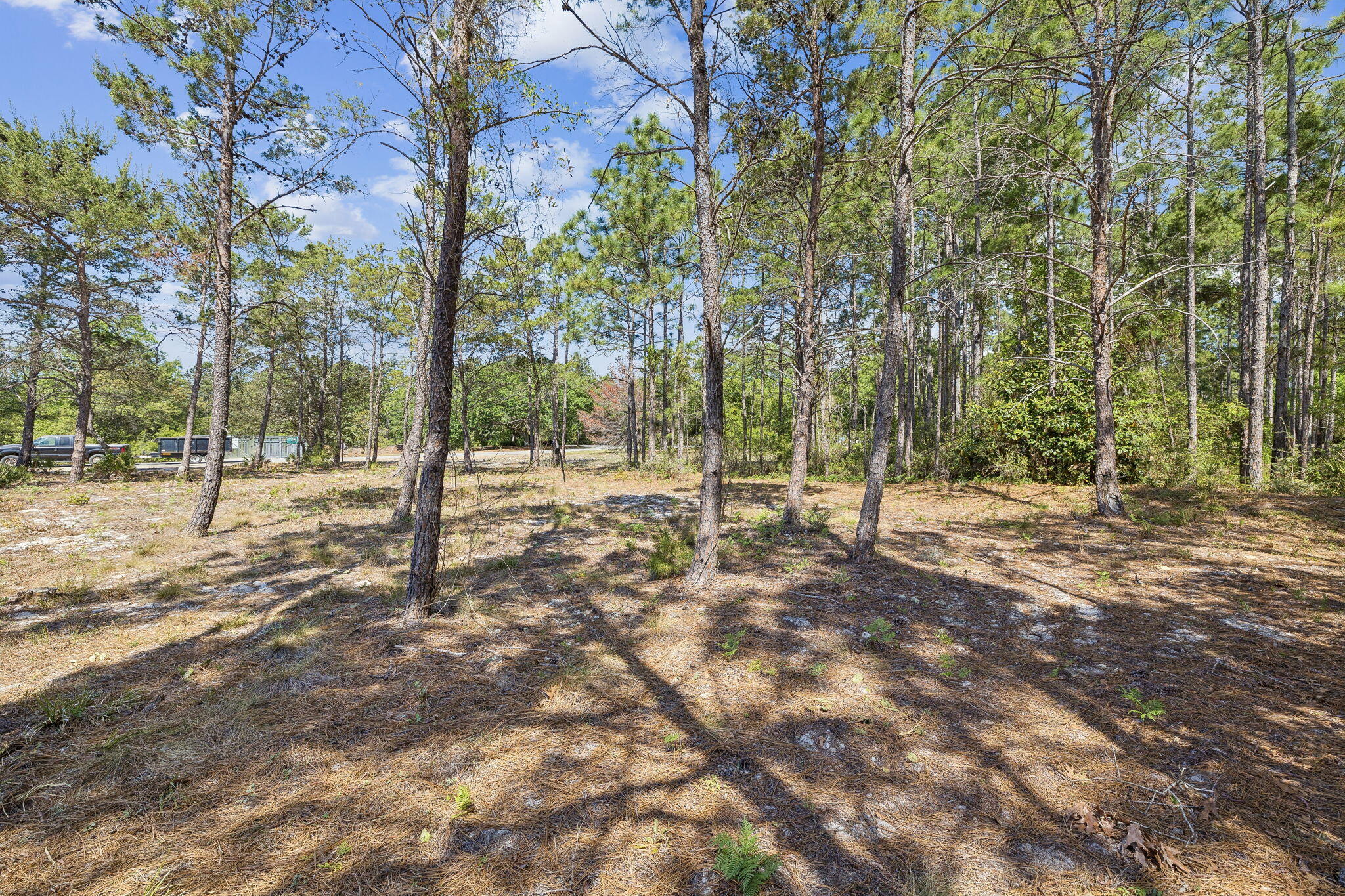 1514 Marsh Point Lane