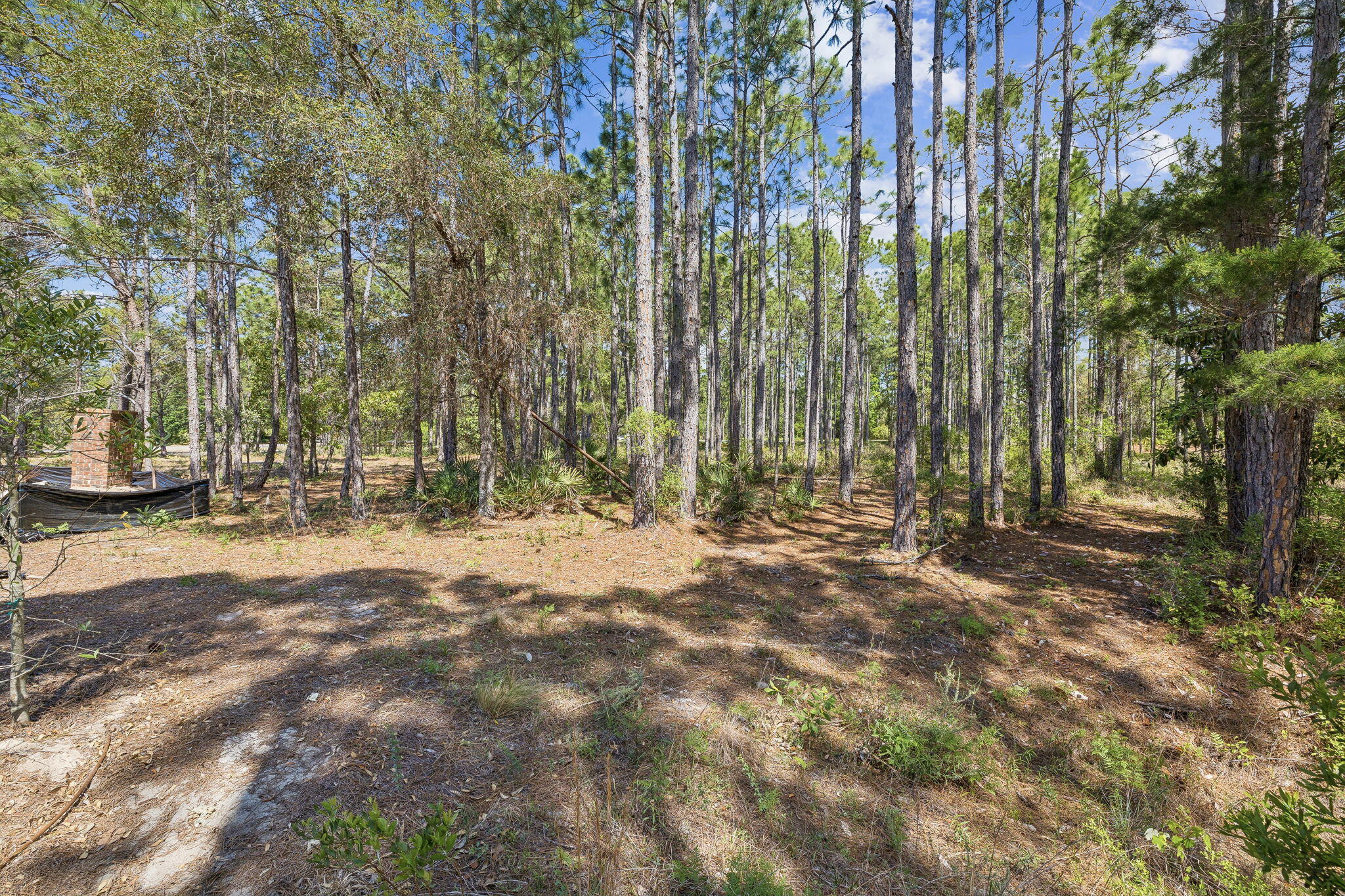 1514 Marsh Point Lane