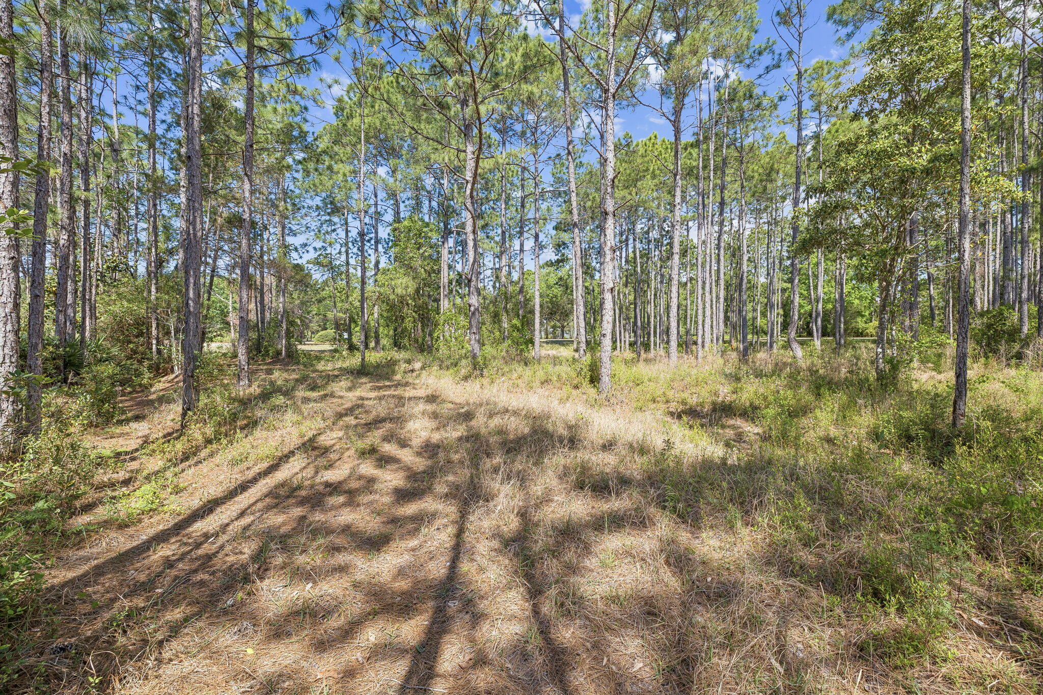 1514 Marsh Point Lane