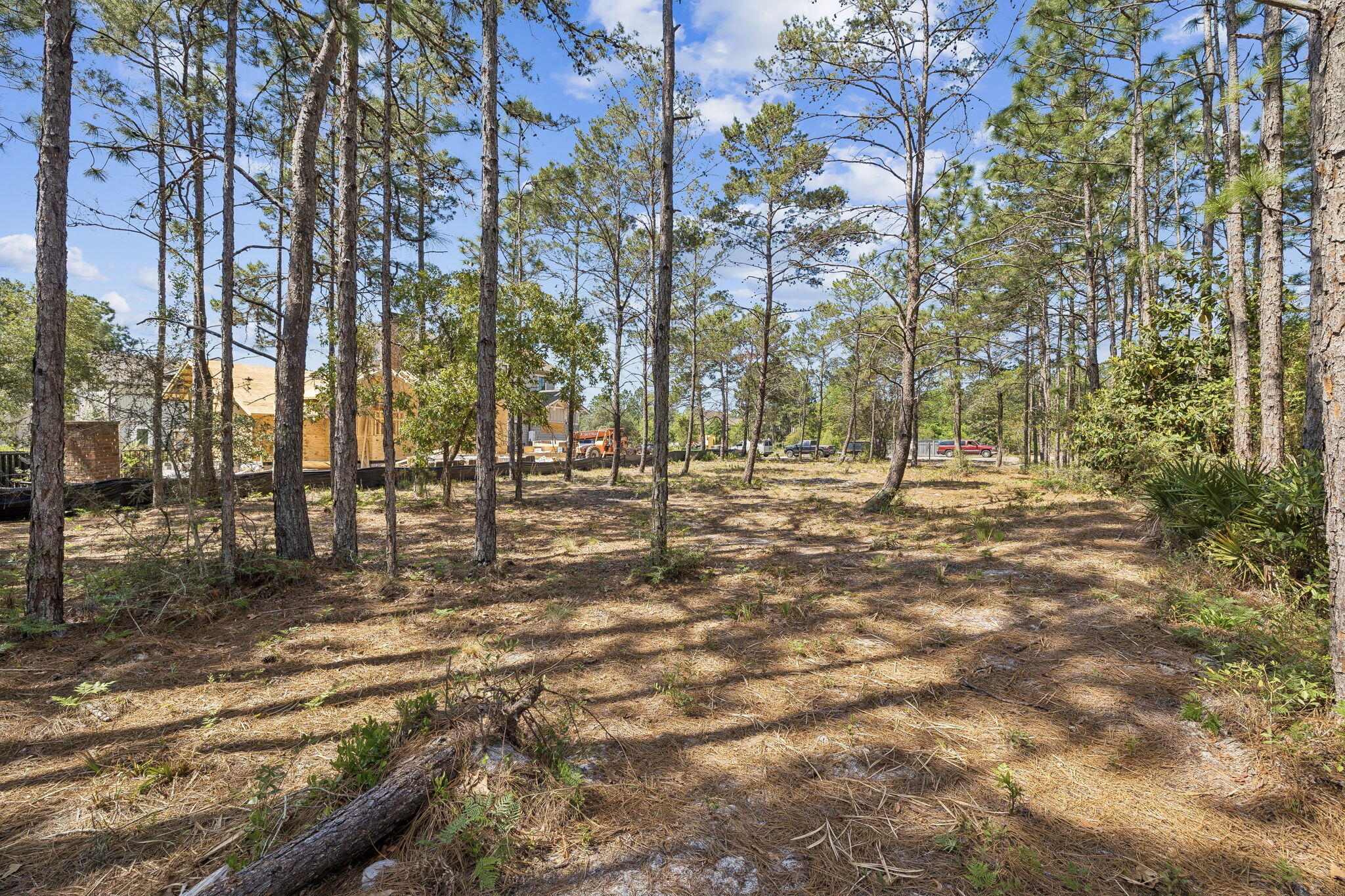 1514 Marsh Point Lane