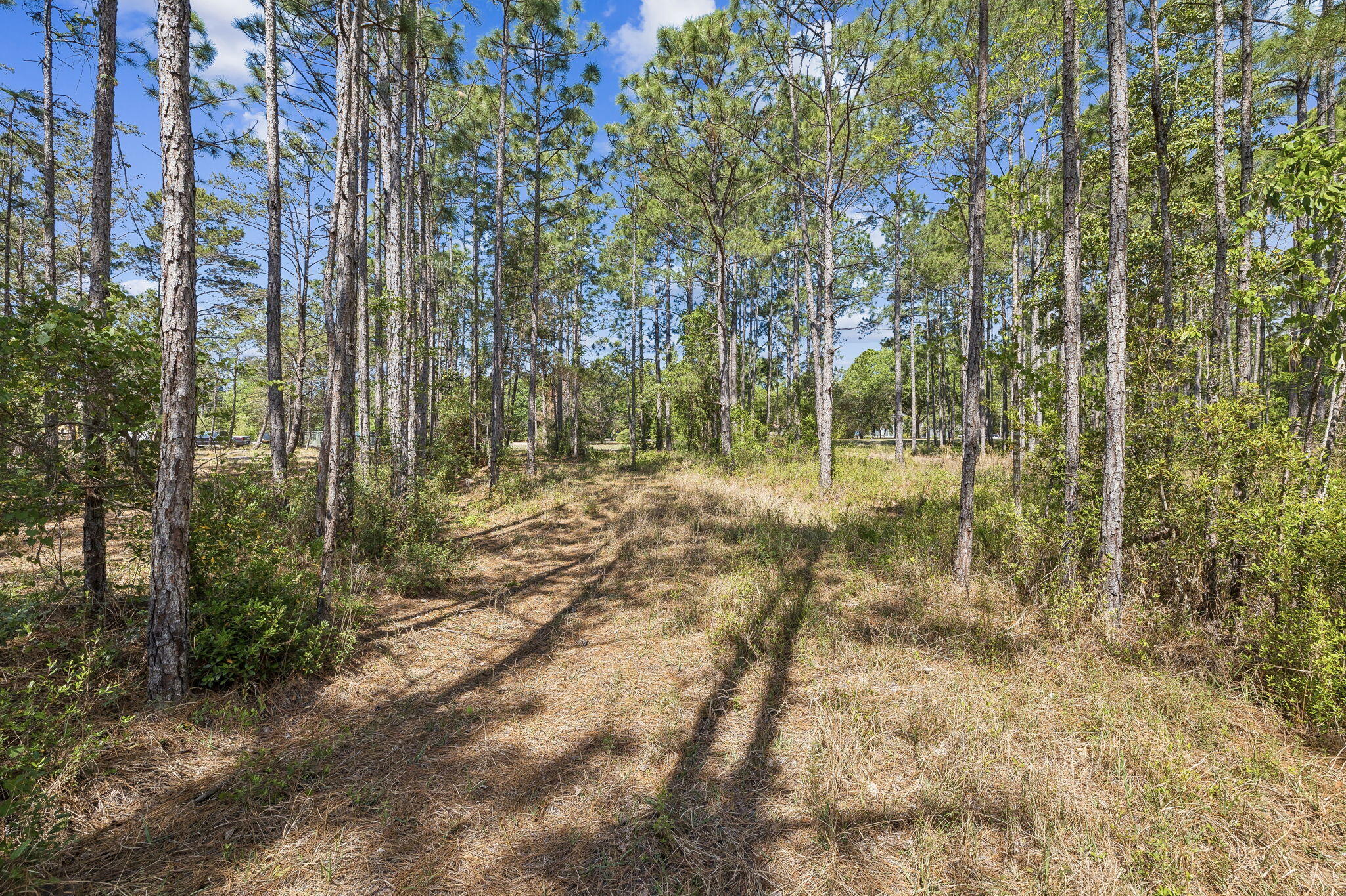 1514 Marsh Point Lane