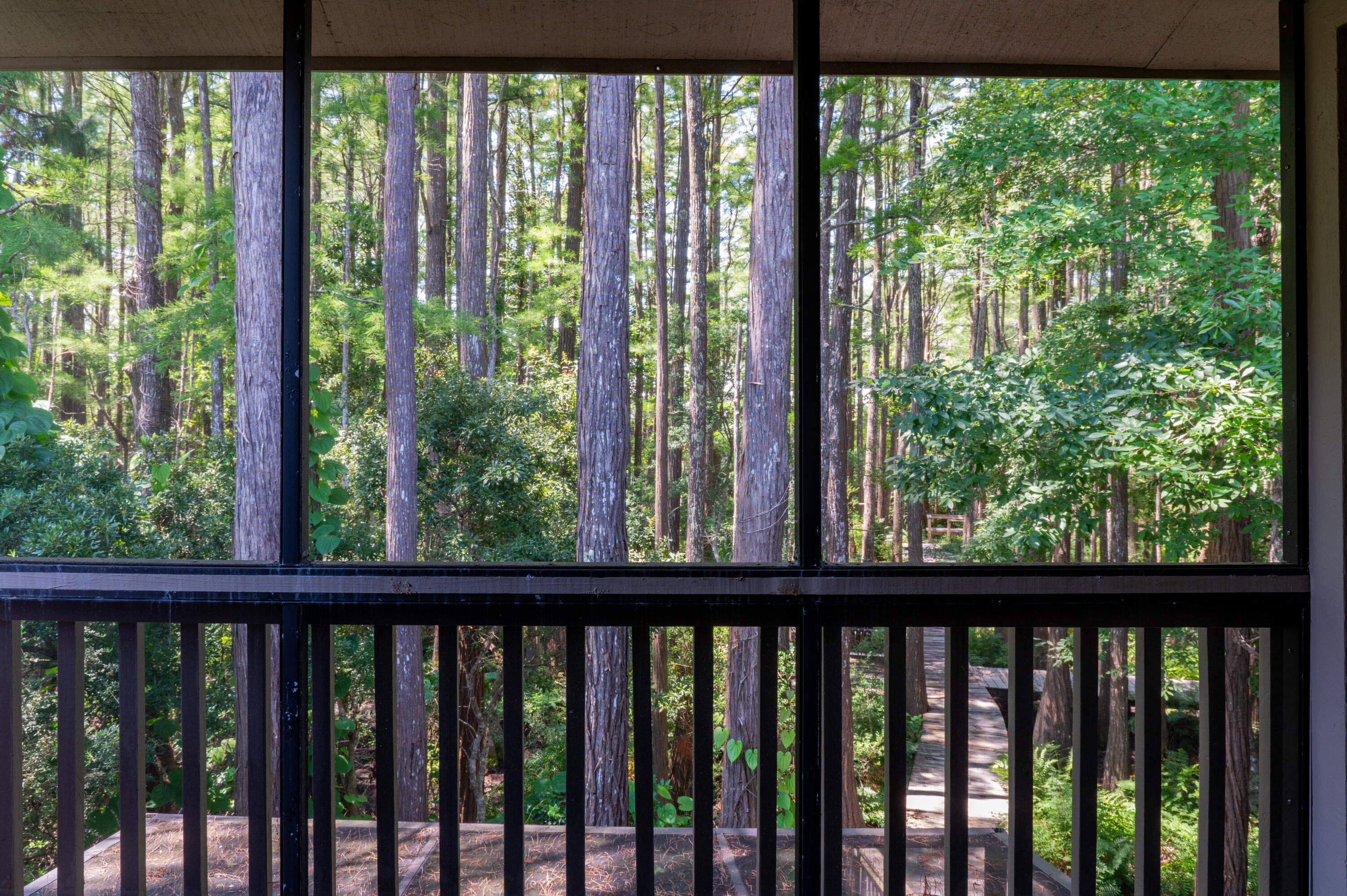 32 Cypress Street, UNIT 188