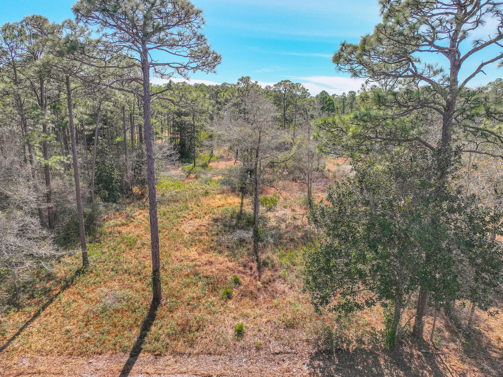 776 E Nursery Road