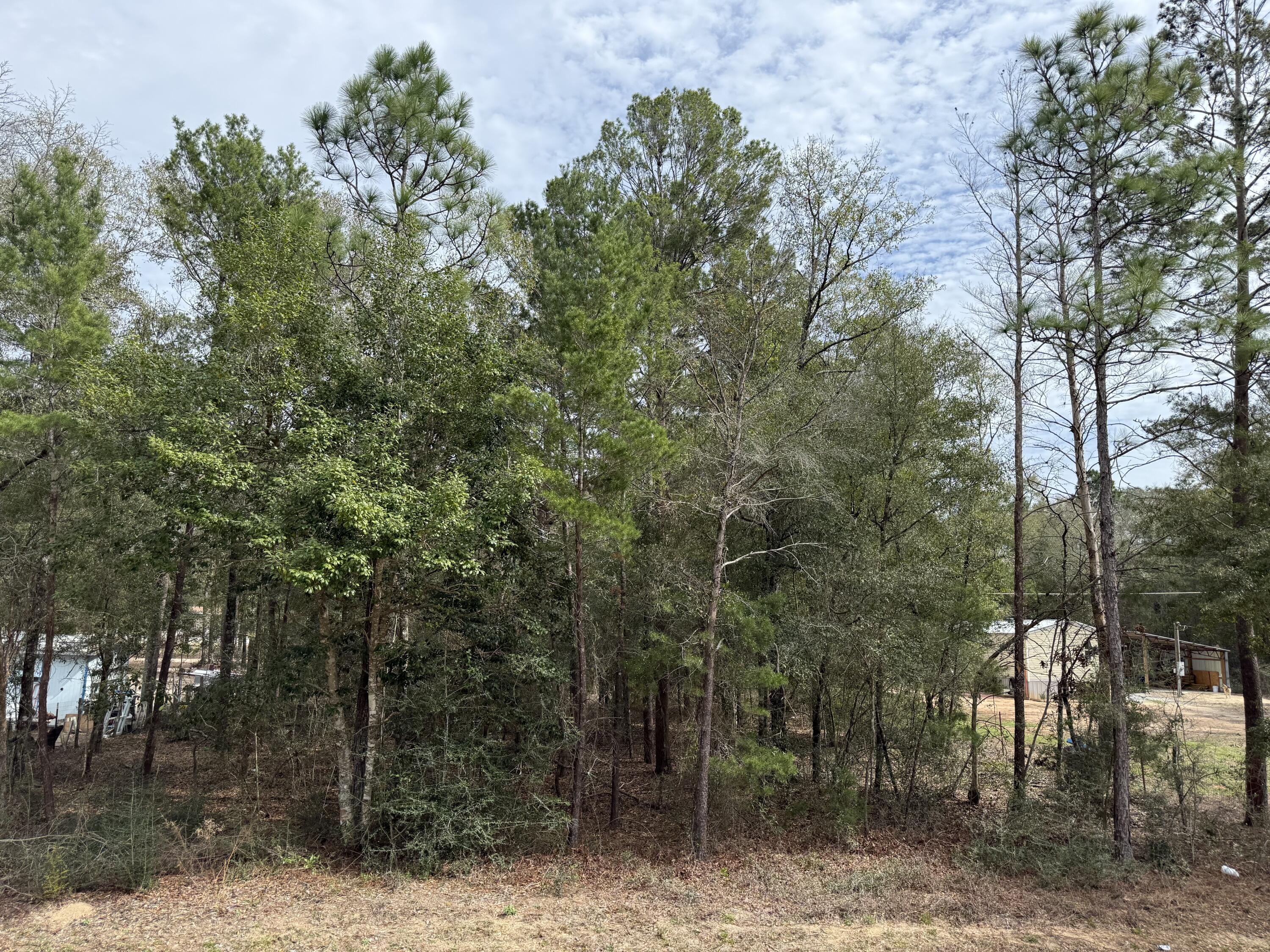 TBD Owens Road, DeFuniak Springs