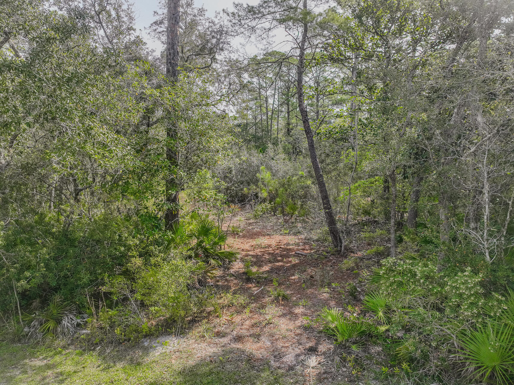 Lot 18 Amelia Lane