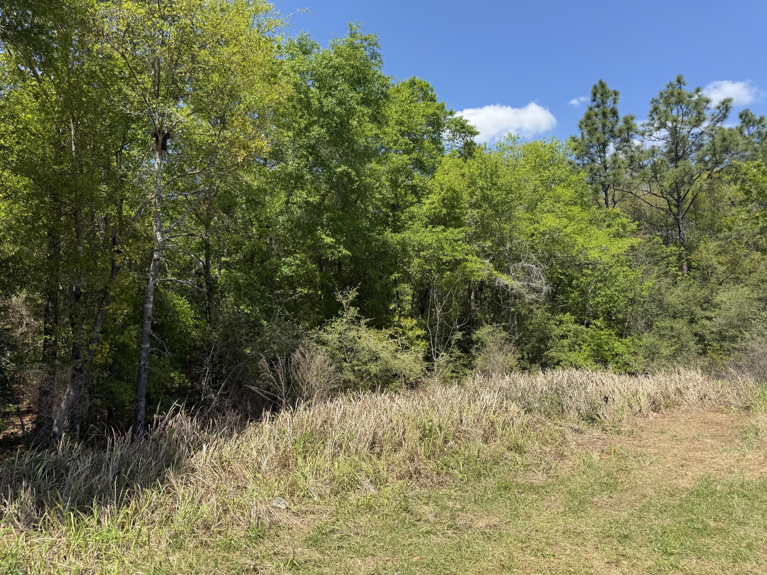 TBD Picasso Ln, DeFuniak Springs