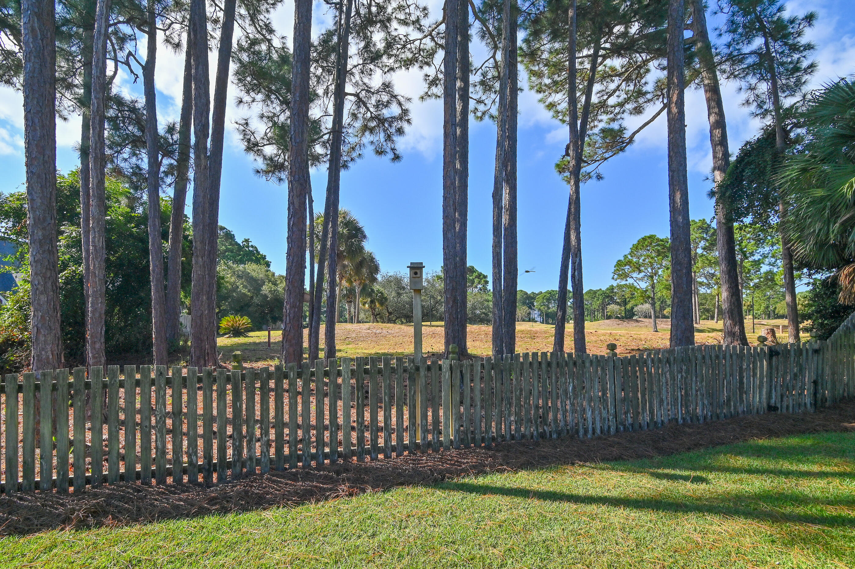 1361 Forest Shore Drive