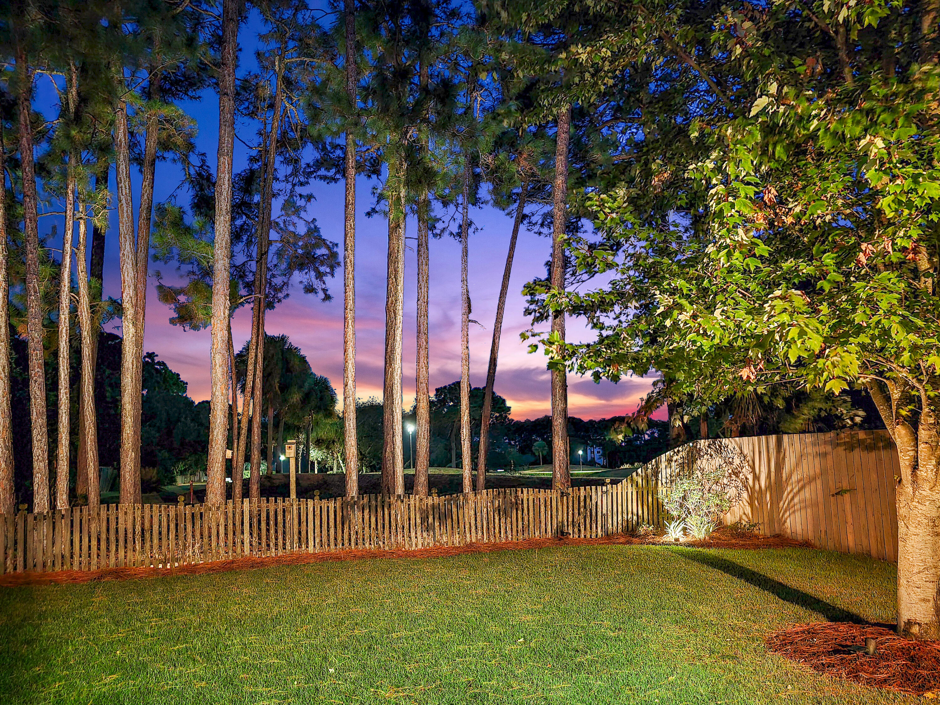 1361 Forest Shore Drive